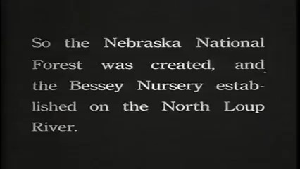 Foresting the Sandhills (excerpt, c.1929)